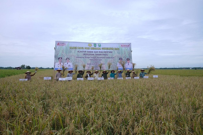 Gubernur Riau Serahkan Bantuan Alat Pertanian di Kabupaten Siak Saat Melakukan Panen Raya Padi